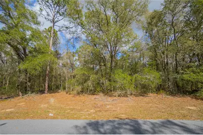 8743 N Sandree Drive, Citrus Springs, FL 34434 - Photo 1