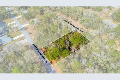 8743 N Sandree Drive, Citrus Springs, FL 34434 - Photo 18