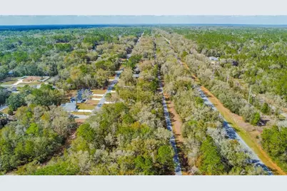 8743 N Sandree Drive, Citrus Springs, FL 34434 - Photo 16