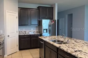 3469 Autumn Amber Dr, Spring Hill, FL 34609 - Photo 28