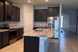 3469 Autumn Amber Dr, Spring Hill, FL 34609 - Photo 30