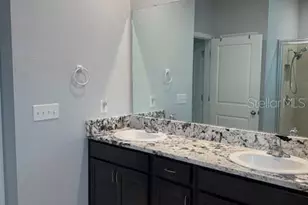 3469 Autumn Amber Dr, Spring Hill, FL 34609 - Photo 10