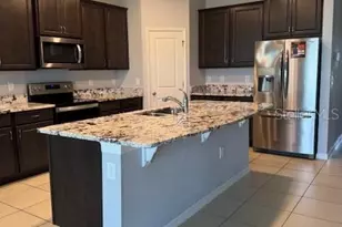 3469 Autumn Amber Dr, Spring Hill, FL 34609 - Photo 4