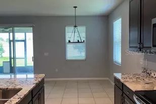 3469 Autumn Amber Dr, Spring Hill, FL 34609 - Photo 26