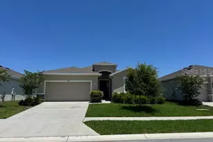 3469 Autumn Amber Dr, Spring Hill, FL 34609 - Photo 1