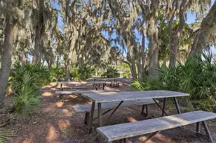 4345 Tatum Loop, Odessa, FL 33556 - Photo 34