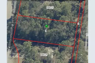 34027 Congressional Avenue, Dade City, FL 33523 - Photo 2