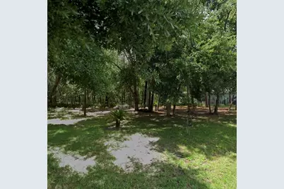 34027 Congressional Avenue, Dade City, FL 33523 - Photo 6