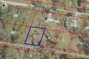 Driftwood Dr, Weeki Wachee, FL 34607 - Photo 1