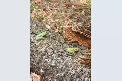 1176 W Buttonbush Dr, Beverly Hills, FL 34465 - Photo 18