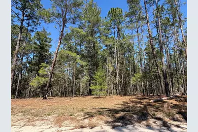 00000 SE 58th Place, Morriston, FL 32668 - Photo 2