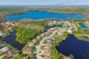 21314 Marsh Hawk Dr, Land O Lakes, FL 34638 - Photo 74