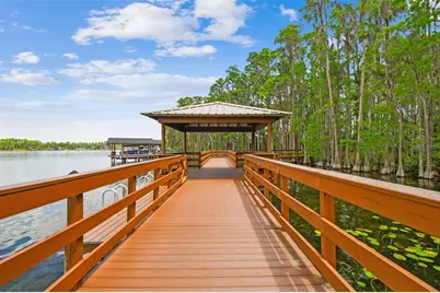 21314 Marsh Hawk Drive, Land O Lakes, FL 34638 - Photo 96