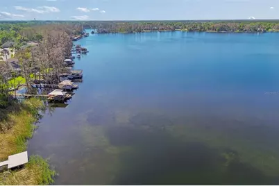 21314 Marsh Hawk Drive, Land O Lakes, FL 34638 - Photo 82