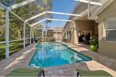 21314 Marsh Hawk Drive, Land O Lakes, FL 34638 - Photo 48