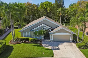 21314 Marsh Hawk Dr, Land O Lakes, FL 34638 - Photo 64