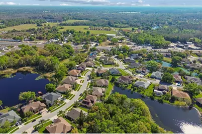 21314 Marsh Hawk Drive, Land O Lakes, FL 34638 - Photo 78