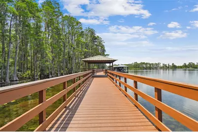 21314 Marsh Hawk Drive, Land O Lakes, FL 34638 - Photo 98