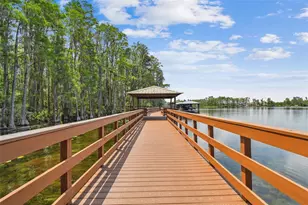 21314 Marsh Hawk Dr, Land O Lakes, FL 34638 - Photo 98