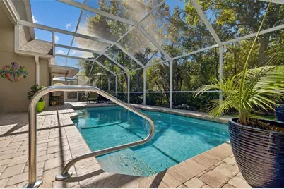 21314 Marsh Hawk Drive, Land O Lakes, FL 34638 - Photo 52