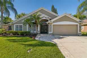 21314 Marsh Hawk Dr, Land O Lakes, FL 34638 - Photo 1