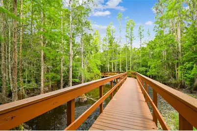 21314 Marsh Hawk Drive, Land O Lakes, FL 34638 - Photo 94