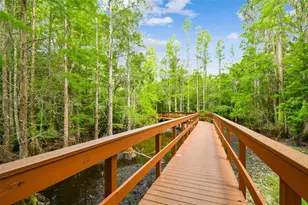 21314 Marsh Hawk Dr, Land O Lakes, FL 34638 - Photo 94