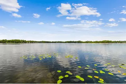 21314 Marsh Hawk Drive, Land O Lakes, FL 34638 - Photo 94