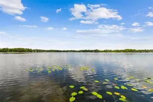 21314 Marsh Hawk Dr, Land O Lakes, FL 34638 - Photo 94