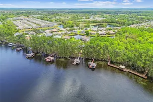 21314 Marsh Hawk Dr, Land O Lakes, FL 34638 - Photo 88