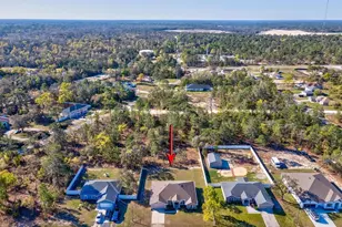 12136 Millington Ave, Weeki Wachee, FL 34614 - Photo 2