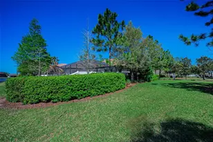 11891 Frost Aster Dr, Riverview, FL 33579 - Photo 92