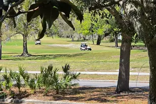 12500 Dearborn Dr, Hudson, FL 34667 - Photo 28