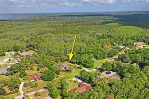 10801 Alico Pass, New Port Richey, FL 34655 - Photo 72