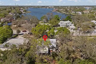 502 Hillcrest Ave, Tarpon Springs, FL 34689 - Photo 30