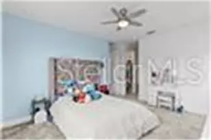 32588 Tree of Life Ave, Wesley Chapel, FL 33543 - Photo 34