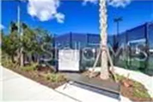 32588 Tree of Life Ave, Wesley Chapel, FL 33543 - Photo 52