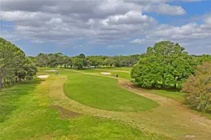 14466 Tamarind Loop, Spring Hill, FL 34609 - Photo 48