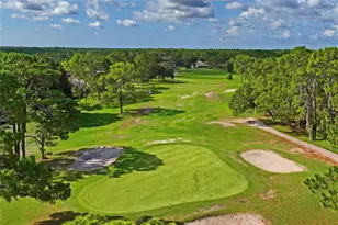 14466 Tamarind Loop, Spring Hill, FL 34609 - Photo 84