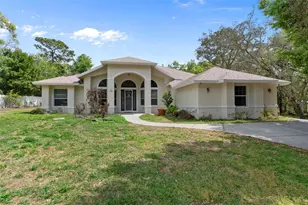 17948 Greensboro St, Spring Hill, FL 34610 - Photo 1