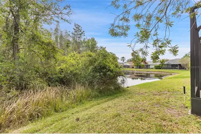 8328 Ponkan Road, Land O Lakes, FL 34637 - Photo 8