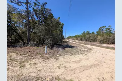 3099 W Wilhelm Street, Citrus Springs, FL 34433 - Photo 4