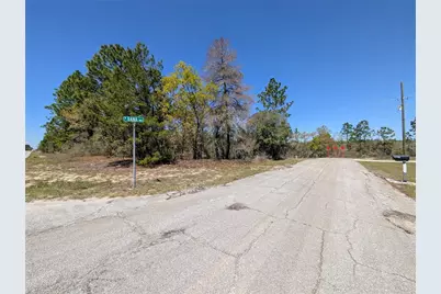 3099 W Wilhelm Street, Citrus Springs, FL 34433 - Photo 2