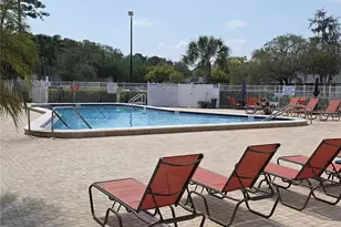 11442 Turtle Dove Pl, New Port Richey, FL 34654 - Photo 24