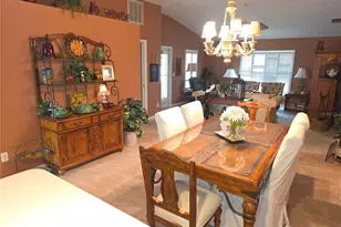 11442 Turtle Dove Pl, New Port Richey, FL 34654 - Photo 12