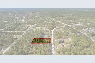 12348 Snowy Egret Avenue, Weeki Wachee, FL 34614 - Photo 8