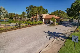 1297 Kings Way Ln, Tarpon Springs, FL 34688 - Photo 48