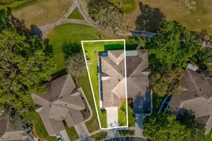 11621 Holly Ann Dr, New Port Richey, FL 34654 - Photo 4