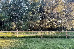 102 Palmetto Ct, Oldsmar, FL 34677 - Photo 36