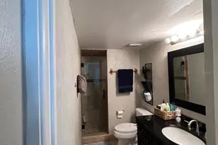 102 Palmetto Ct, Oldsmar, FL 34677 - Photo 14